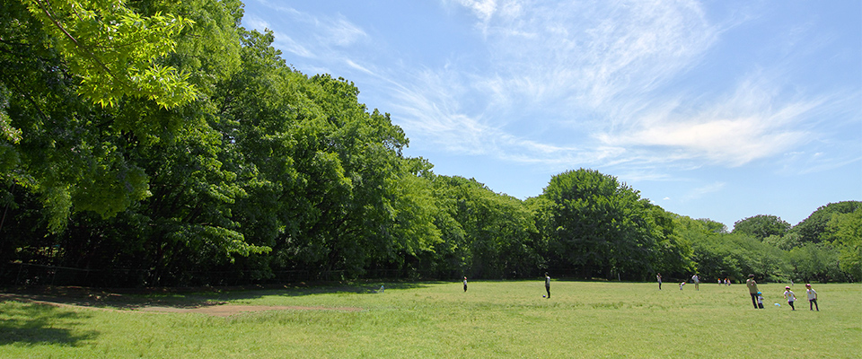 砧公園